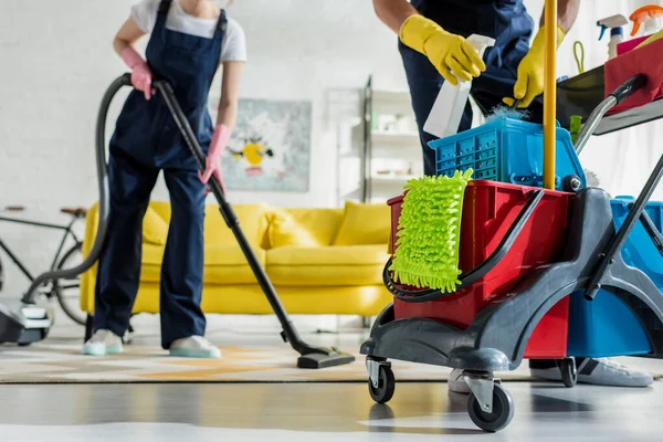 Best Carpet Cleaners in LA